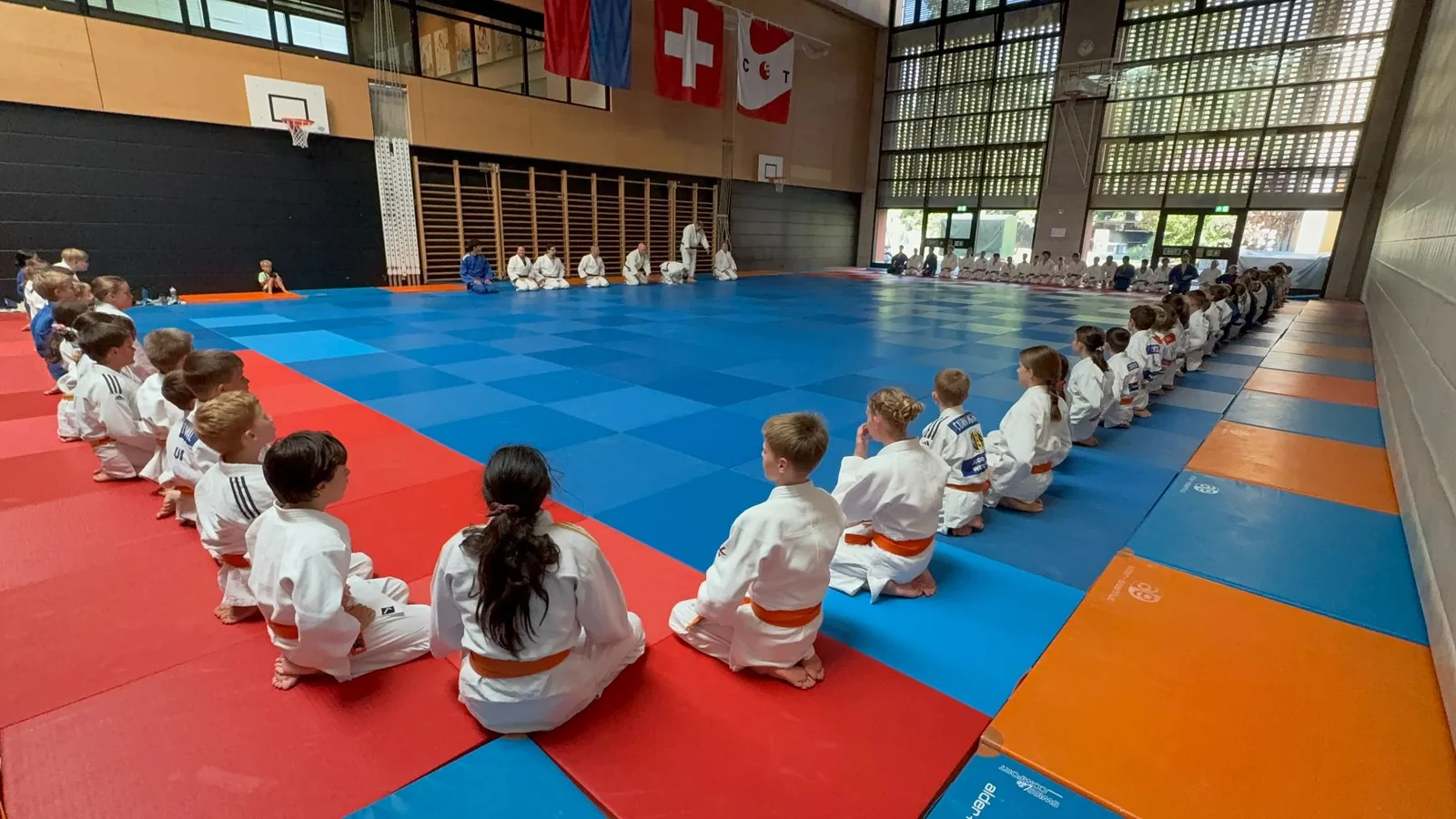 Judotraining in der Halle 2026