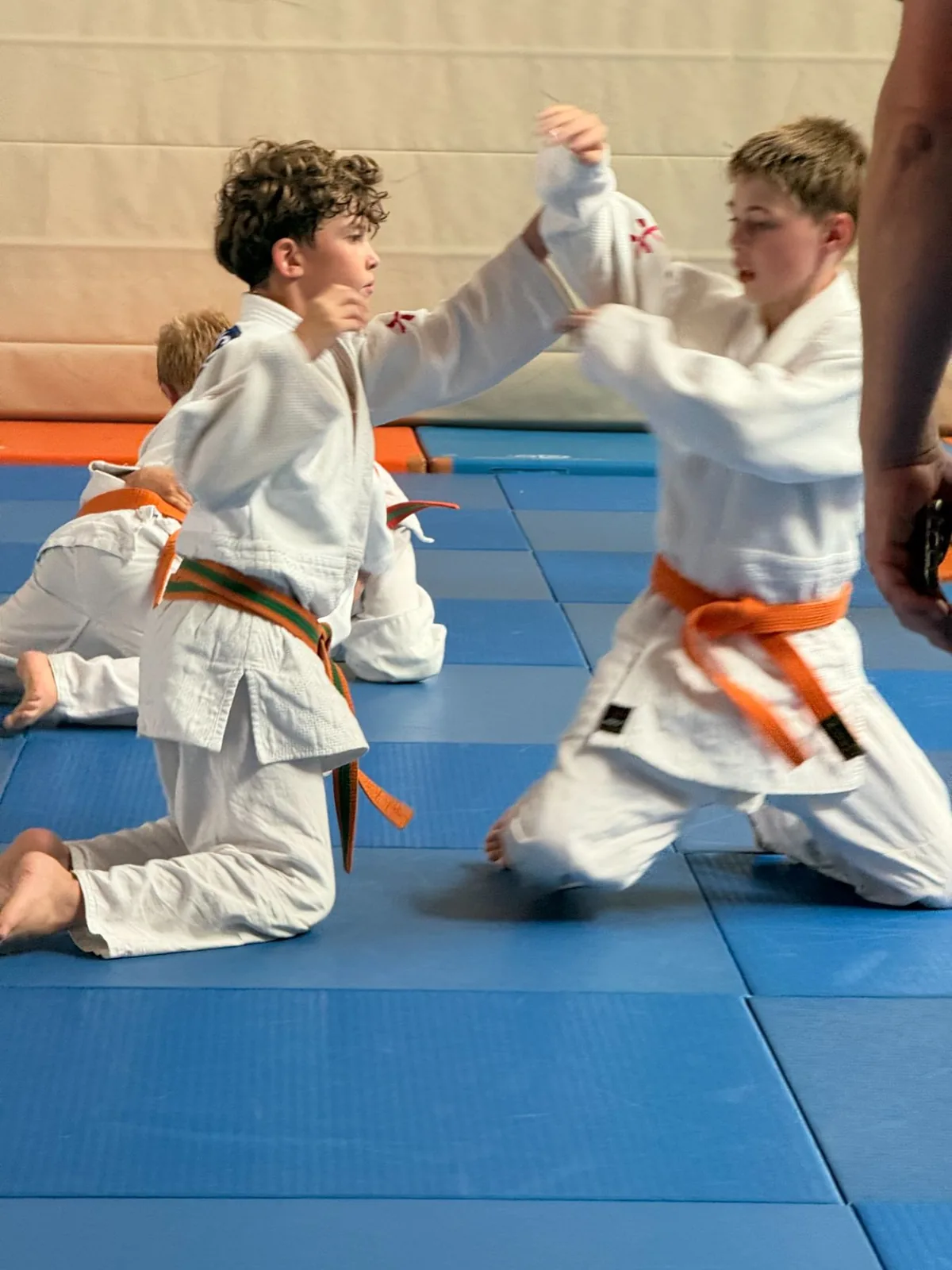 Wettkampftraining auf der Matte